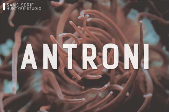 Antroni Font Review for Bold Creative Projects