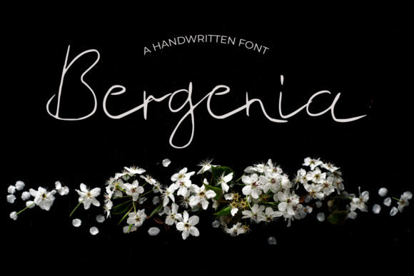 Bergenia: A Delicate Script Handwritten Font for Editorial Design