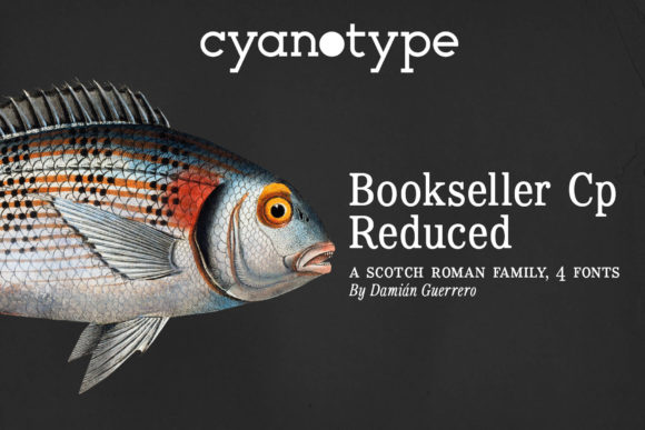 Bookseller Cp Reduced: A Premium Serif for Editorial Layouts