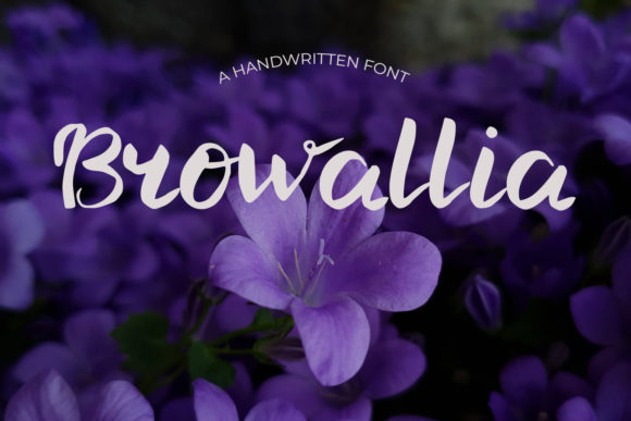 Browallia: A Joyful Script Handwritten Font for Romantic Campaigns