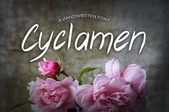 Cyclamen Handwritten Font for Modern Web Design