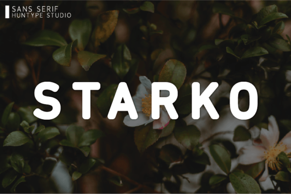 Starko: The Bold Sans Serif Typeface for Modern Editorial Design