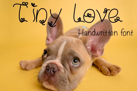 Tiny Love: A Modern Decorative Font for Creative Makers