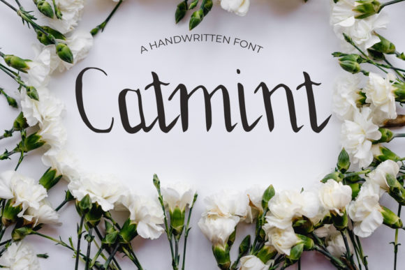 Why Catmint Is the Perfect Script Handwritten Font for Modern Web Design